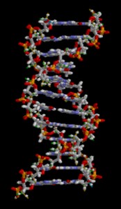 parkinson's genetics