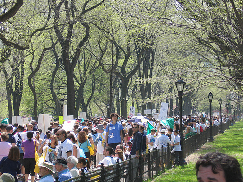 The 2009 Unity Walk in Progress