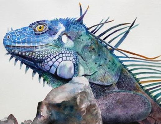 "Iggy the Iguana" by PD member mezzomom