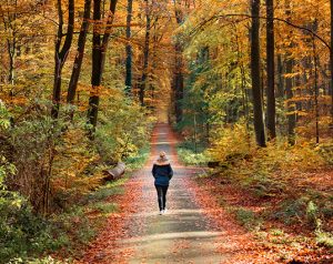 Woman Walking In Foliage