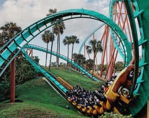 Roller coaster