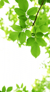 Benefits of Nature